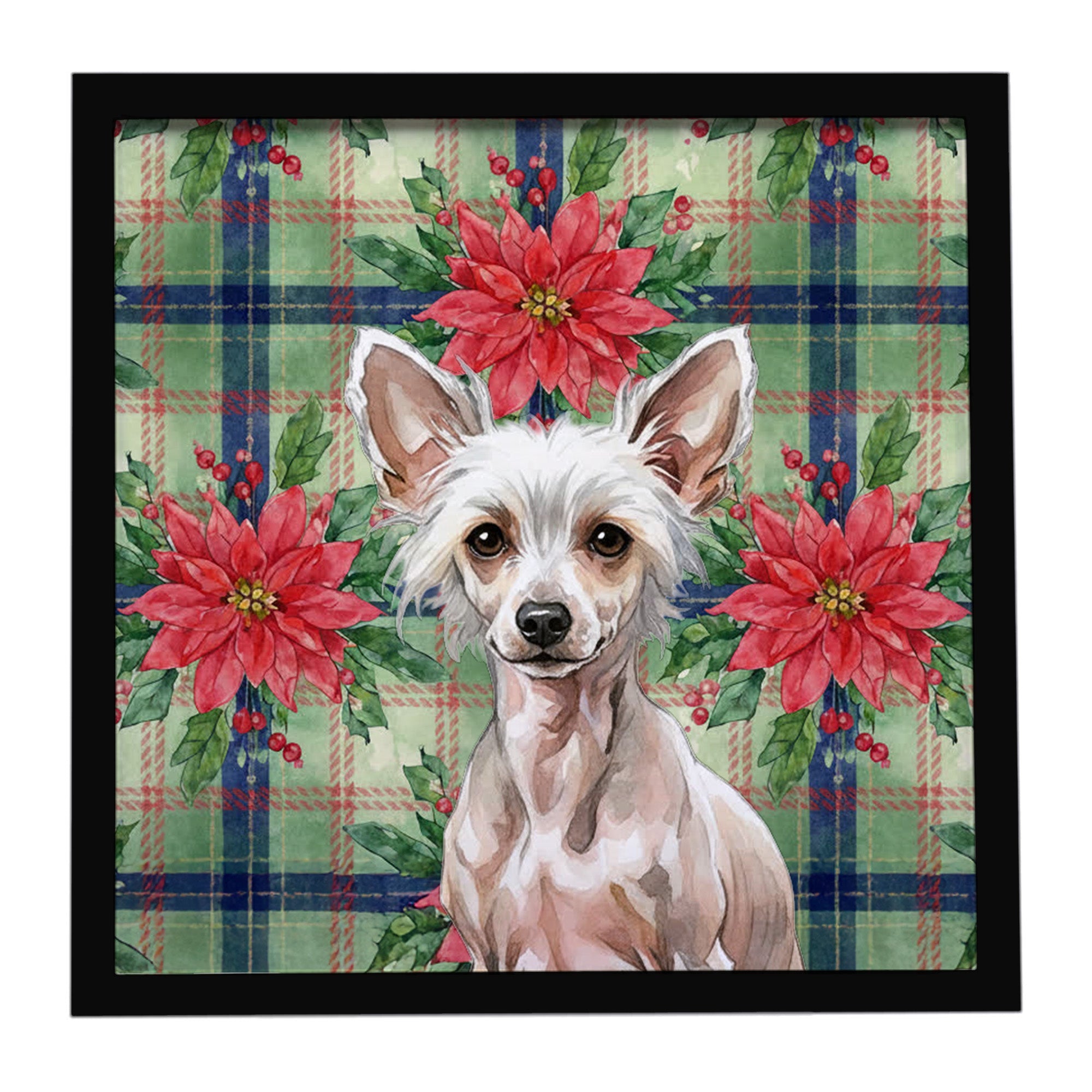 Hairless Chinese Crested Christmas PoinsettIas Framed Metal Print Bathroom, Kitchen, Office, Home Decor Wall Art Ready to Hang, Square, 8X8