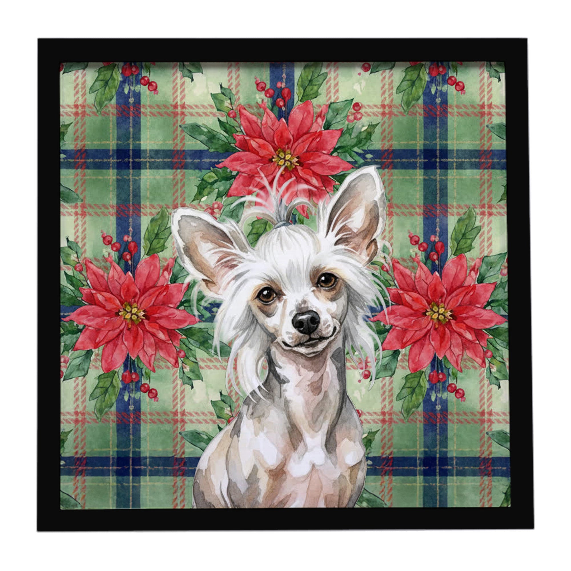 Hairless Mottled Pattern Chinese Crested Christmas PoinsettIas Framed Metal Print Bathroom, Kitchen, Office, Home Decor Wall Art Ready to Hang, Square, 8X8