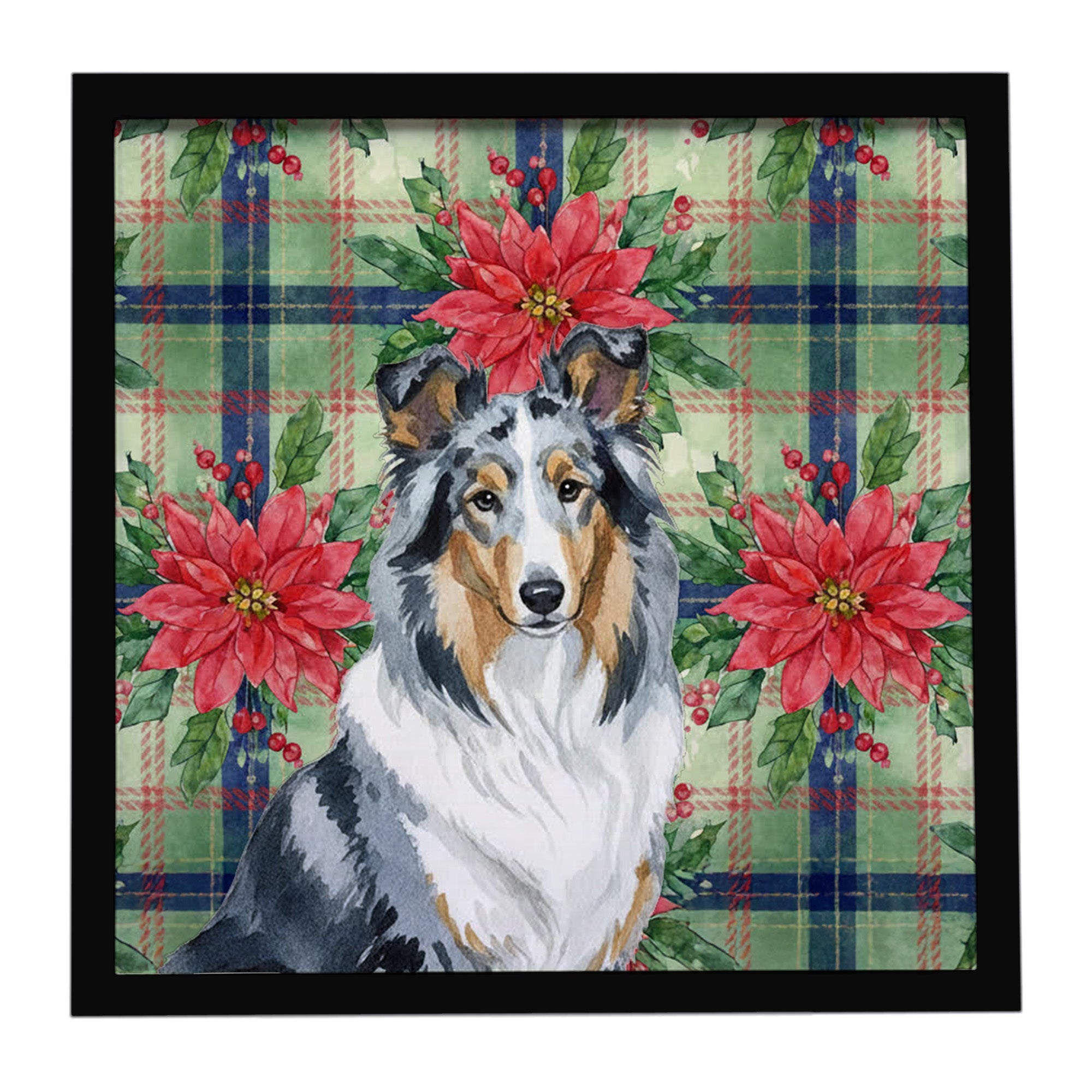 Blue Merle Collie Christmas PoinsettIas Framed Metal Print Bathroom, Kitchen, Office, Home Decor Wall Art Ready to Hang, Square, 8X8