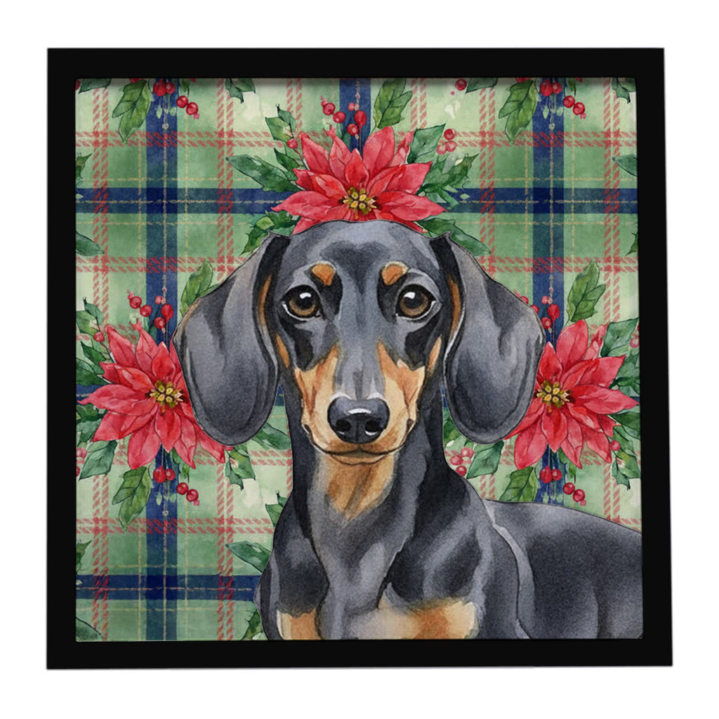 Black and Tan Dachshund Christmas PoinsettIas Framed Metal Print Bathroom, Kitchen, Office, Home Decor Wall Art Ready to Hang, Square, 8X8