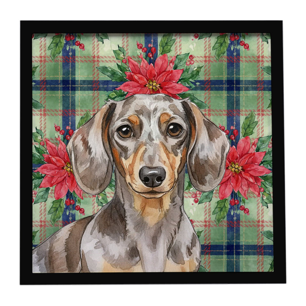 Dapple Dachshund Christmas PoinsettIas Framed Metal Print Bathroom, Kitchen, Office, Home Decor Wall Art Ready to Hang, Square, 8X8