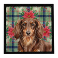 Longhaired Chocolate and Tan Dachshund Christmas PoinsettIas Framed Metal Print Bathroom, Kitchen, Office, Home Decor Wall Art Ready to Hang, Square, 8X8