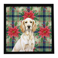 Lemon Belton English Setter Christmas PoinsettIas Framed Metal Print Bathroom, Kitchen, Office, Home Decor Wall Art Ready to Hang, Square, 8X8