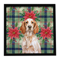 Orange Belton English Setter Christmas PoinsettIas Framed Metal Print Bathroom, Kitchen, Office, Home Decor Wall Art Ready to Hang, Square, 8X8