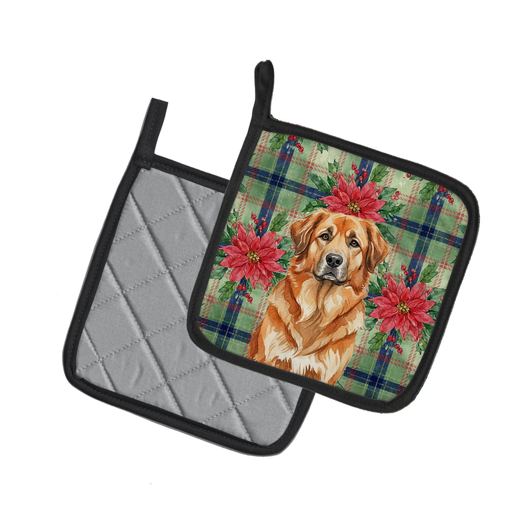 Red Leonberger Christmas PoinsettIas Pot Holder Set of 2 Heat Resistant Quilted Hot Pads 7.5 x 7.5 Inch, Insulated Kitchen Trivets for Cooking & Baking