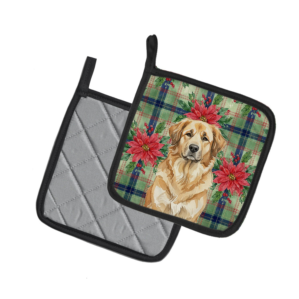 Sandy Leonberger Christmas PoinsettIas Pot Holder Set of 2 Heat Resistant Quilted Hot Pads 7.5 x 7.5 Inch, Insulated Kitchen Trivets for Cooking & Baking
