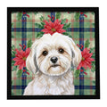 White Lhasa Apso Christmas PoinsettIas Framed Metal Print Bathroom, Kitchen, Office, Home Decor Wall Art Ready to Hang, Square, 8X8