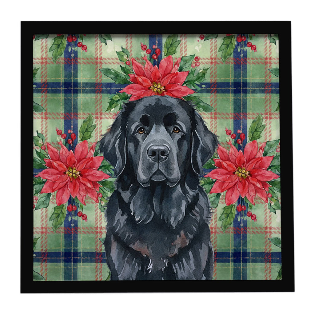 Black Newfoundland Christmas PoinsettIas Framed Metal Print Bathroom, Kitchen, Office, Home Decor Wall Art Ready to Hang, Square, 8X8