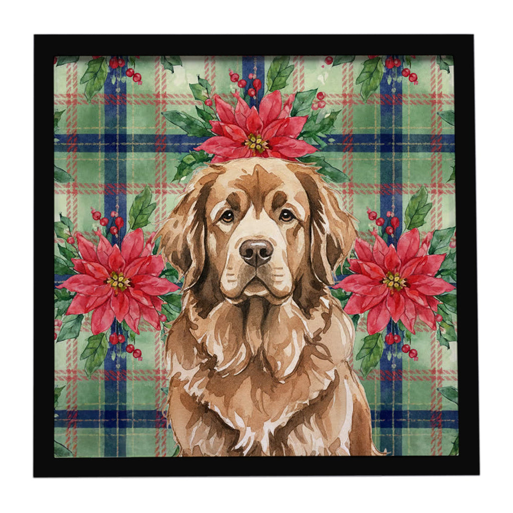 Brown Newfoundland Christmas PoinsettIas Framed Metal Print Bathroom, Kitchen, Office, Home Decor Wall Art Ready to Hang, Square, 8X8