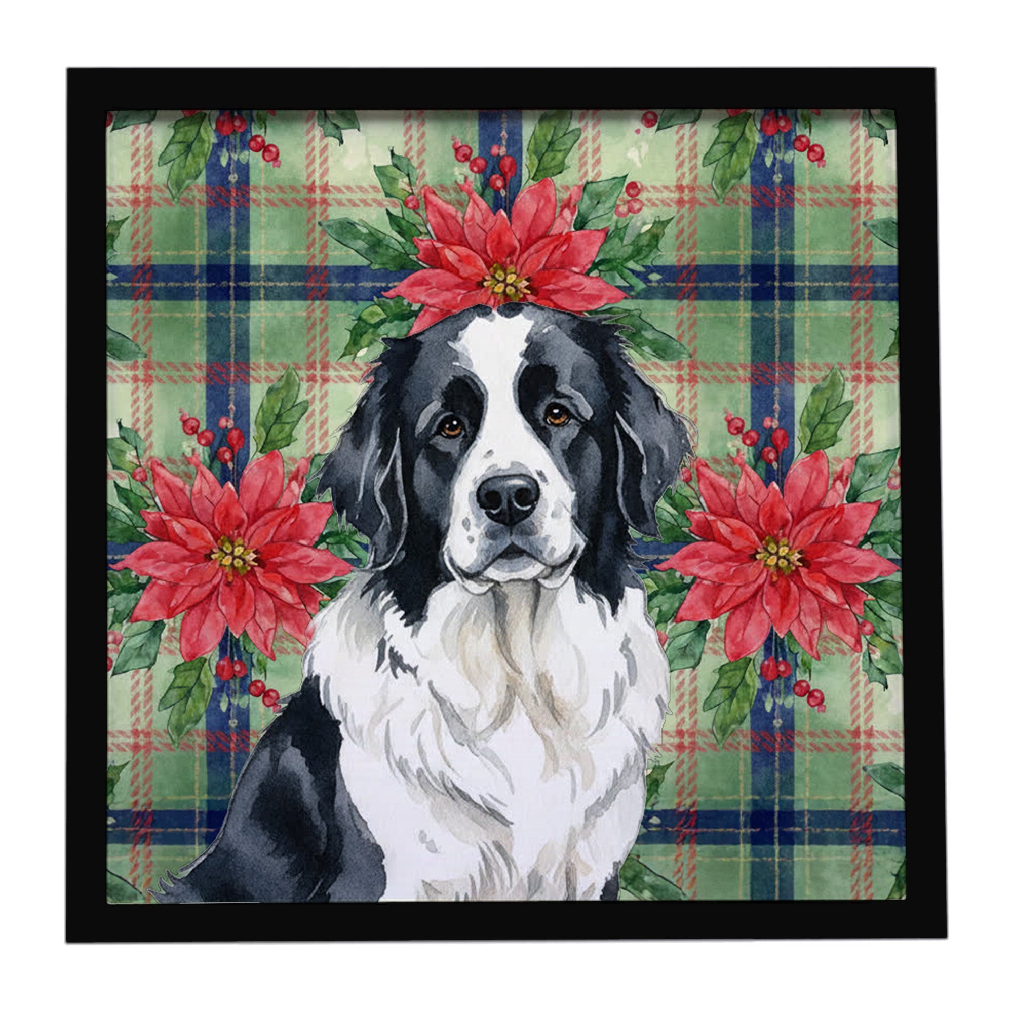 Landseer Newfoundland Christmas PoinsettIas Framed Metal Print Bathroom, Kitchen, Office, Home Decor Wall Art Ready to Hang, Square, 8X8