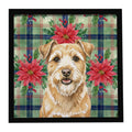 Wheaten Norfolk Terrier Christmas PoinsettIas Framed Metal Print Bathroom, Kitchen, Office, Home Decor Wall Art Ready to Hang, Square, 8X8