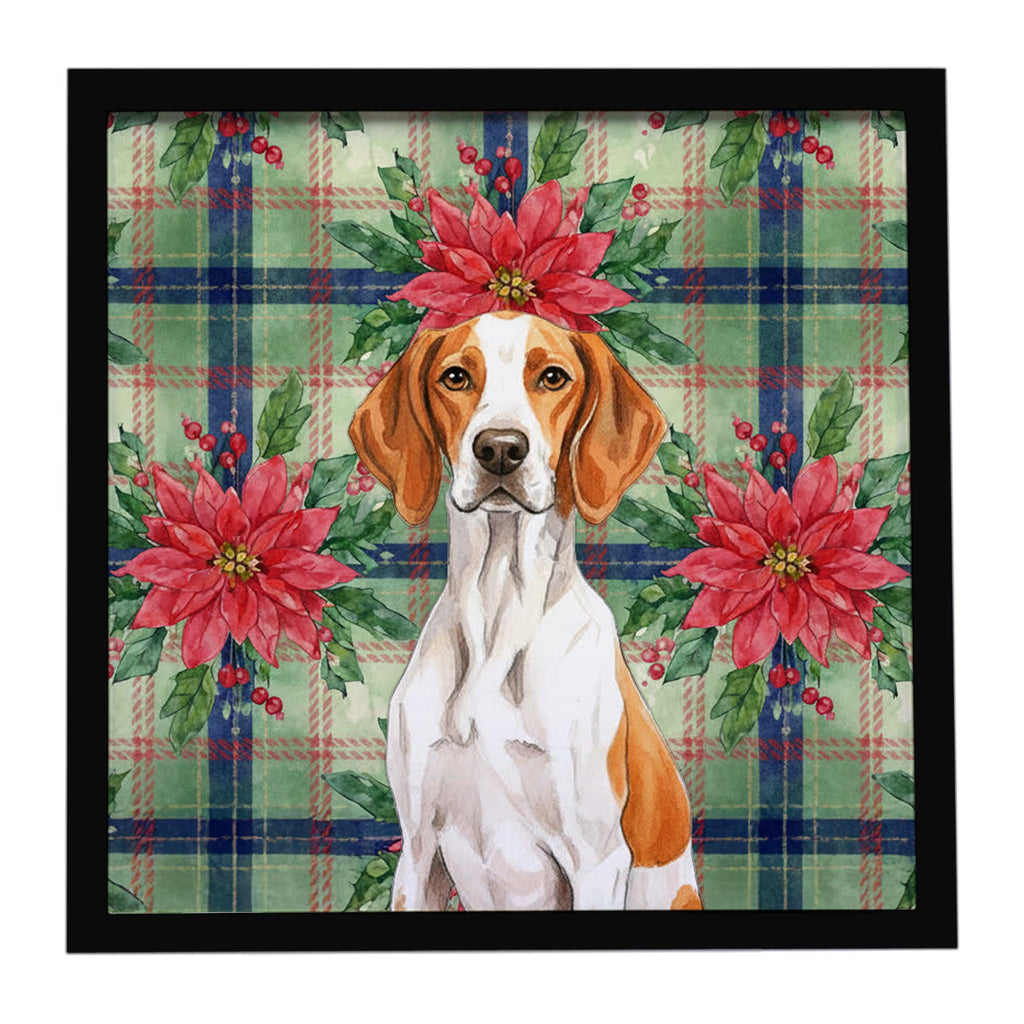 Orange and White Pointer Christmas PoinsettIas Framed Metal Print Bathroom, Kitchen, Office, Home Decor Wall Art Ready to Hang, Square, 8X8