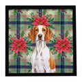 Orange and White Pointer Christmas PoinsettIas Framed Metal Print Bathroom, Kitchen, Office, Home Decor Wall Art Ready to Hang, Square, 8X8