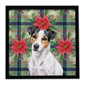 Christmas White with Black Markings Russell Terrier Christmas PoinsettIas 8x8