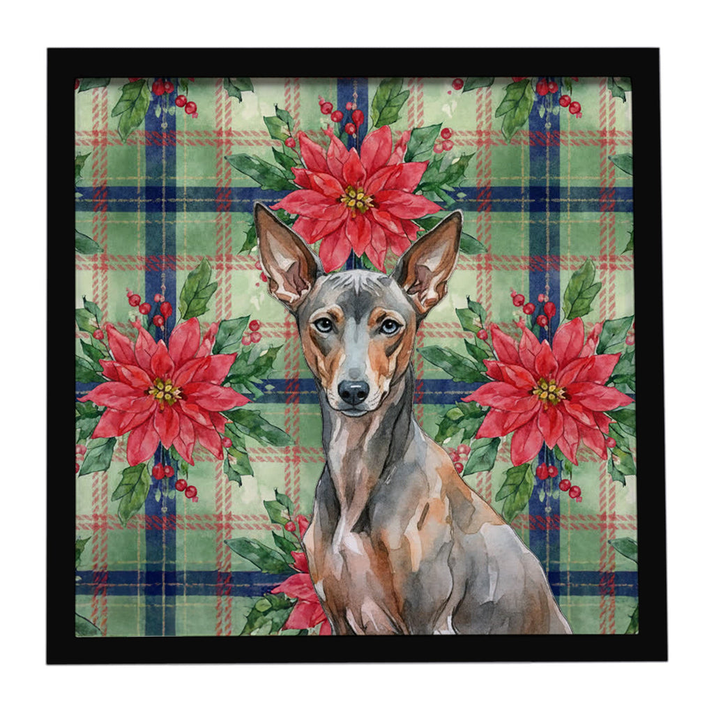 Xoloitzcuintli Christmas PoinsettIas Framed Metal Print Bathroom, Kitchen, Office, Home Decor Wall Art Ready to Hang, Square, 8X8
