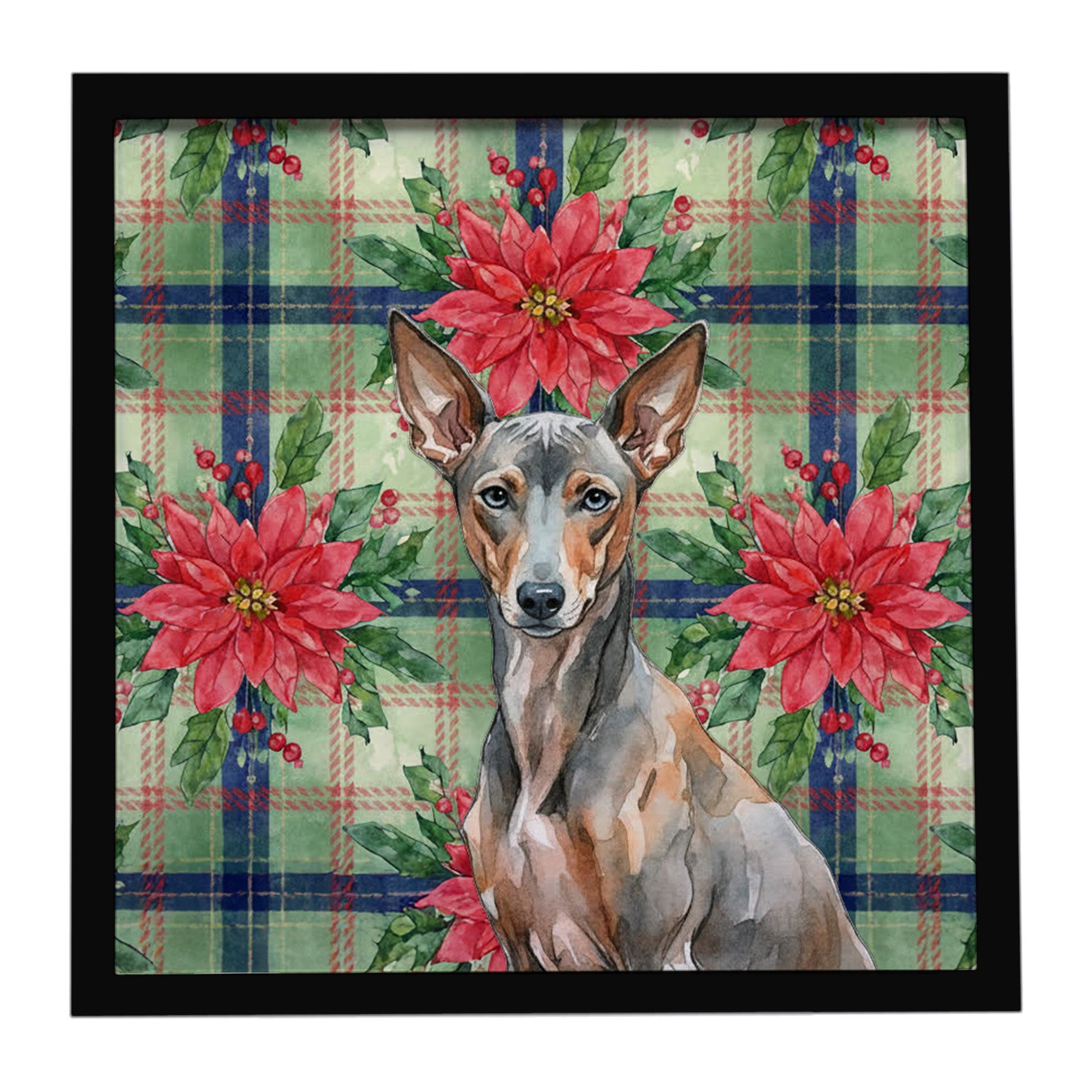 Xoloitzcuintli Christmas PoinsettIas Framed Metal Print Bathroom, Kitchen, Office, Home Decor Wall Art Ready to Hang, Square, 8X8