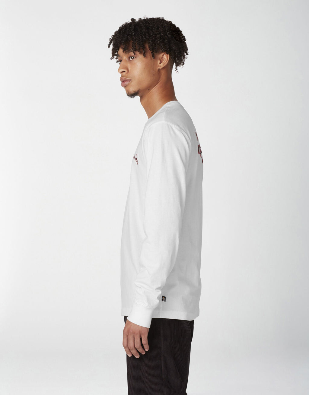 Dickies Villani Drunkula Long Sleeve T-Shirt - White