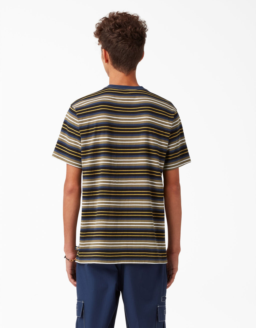 Dickies Skateboarding Stripe Graphic T-Shirt - Black/Moss Stripe