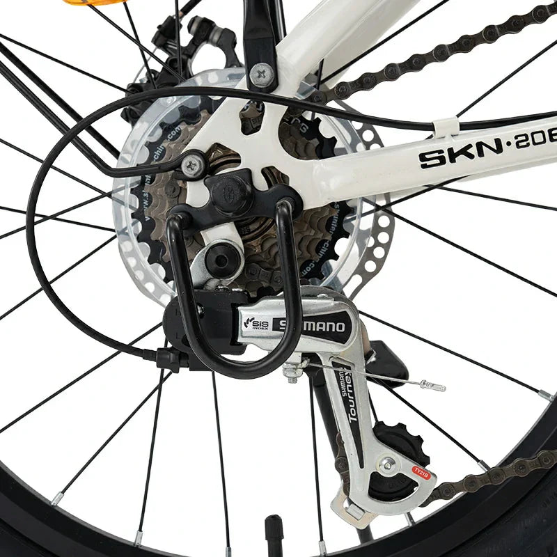 SKN - Folding Bike