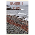 Beautiful Maine - Paperback