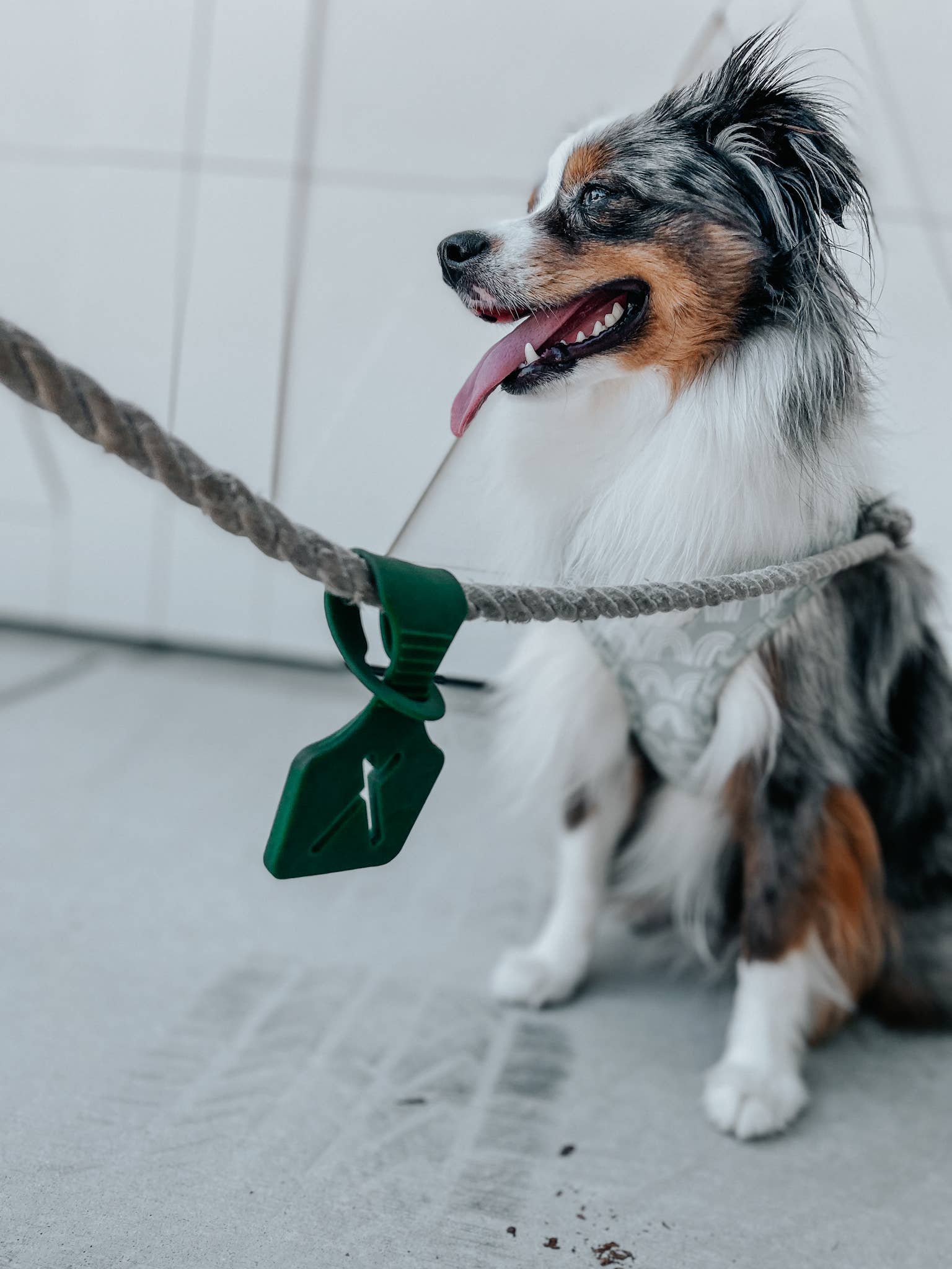 💼 Poop Bag Carrier Attachment