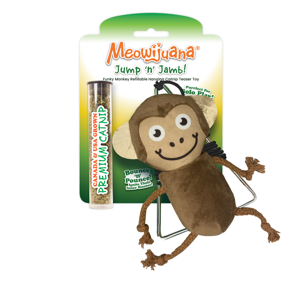 Jump 'n' Jamb Monkey or Squid Cat Toy