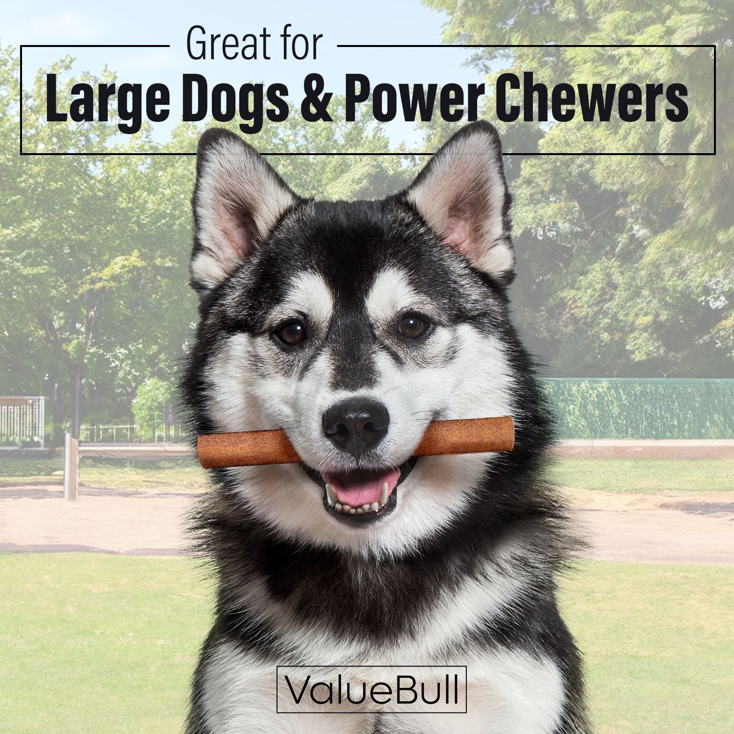 ValueBull Buffalo Collagen Sticks for Dogs, 6 Inch Jumbo Chew, 50 Count