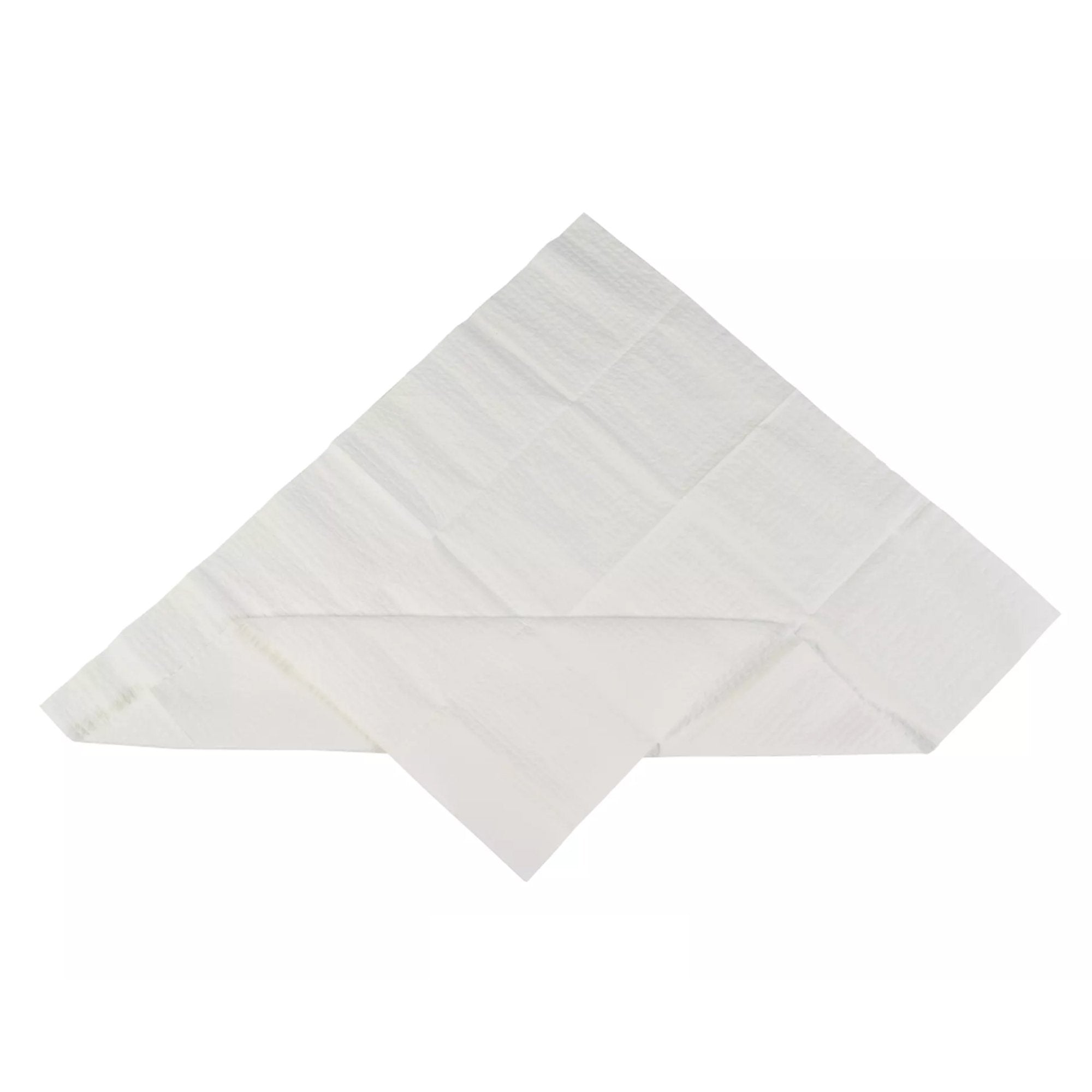 Sterilization Tray Liner, 19-1/2 x 23 Inch AT31019B