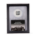 Alcatraz Penitentiary -  Classic Riker Box Specimens