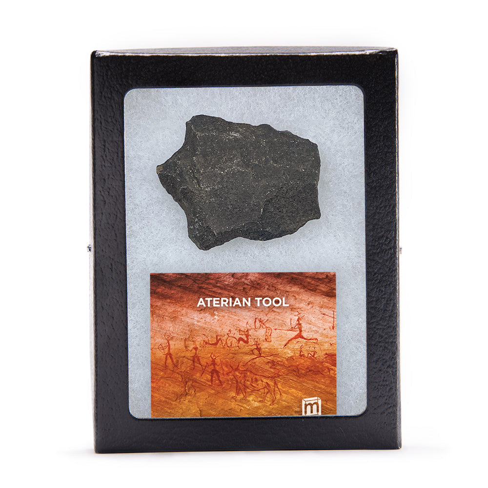 Aterian Tools