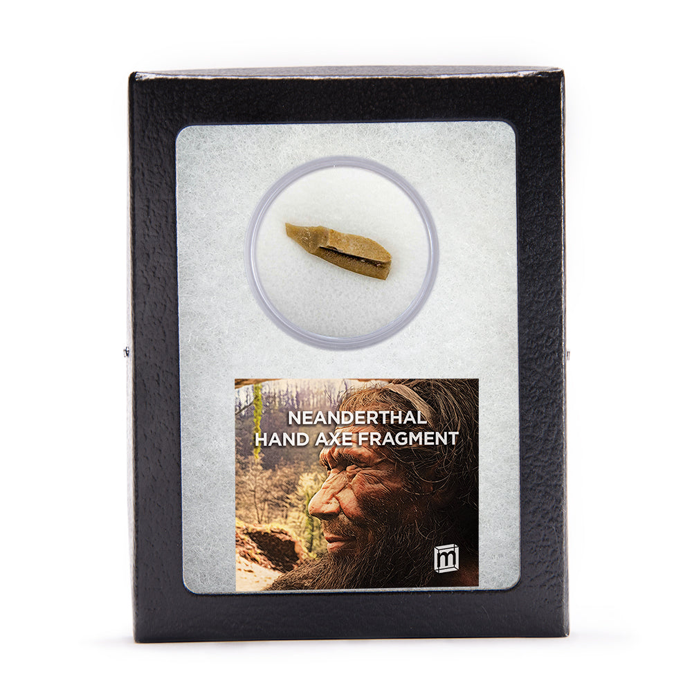 Neanderthal Classic Riker Box Stone Tool Fragment