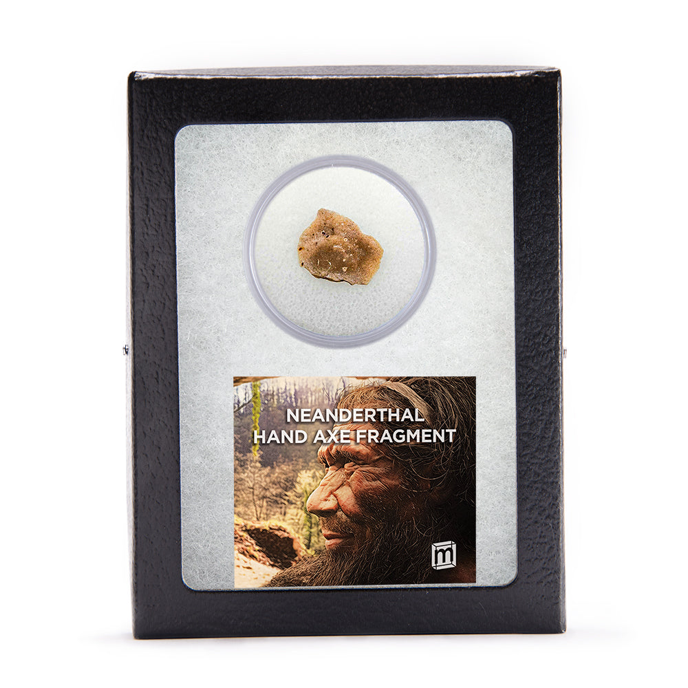 Neanderthal Classic Riker Box Stone Tool Fragment