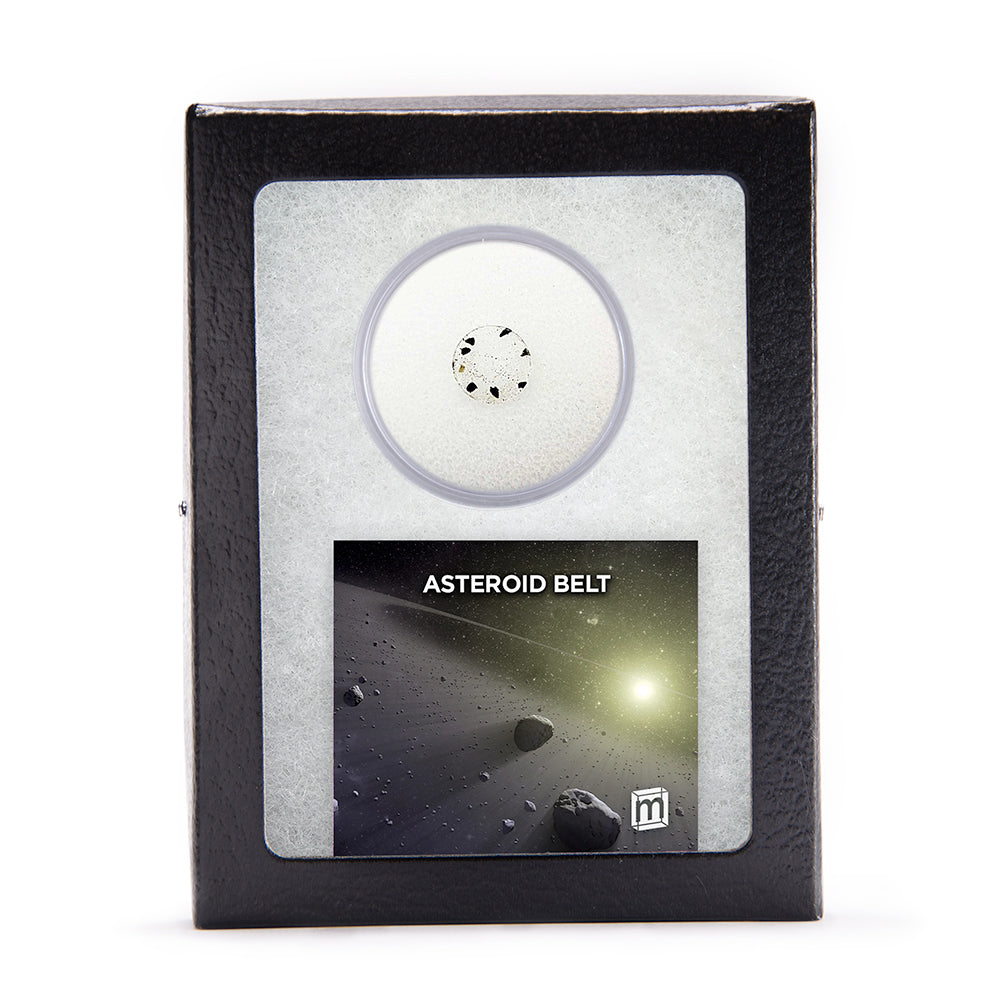 Asteroid Belt HED Meteorite Fragments - Classic Riker Box Specimens