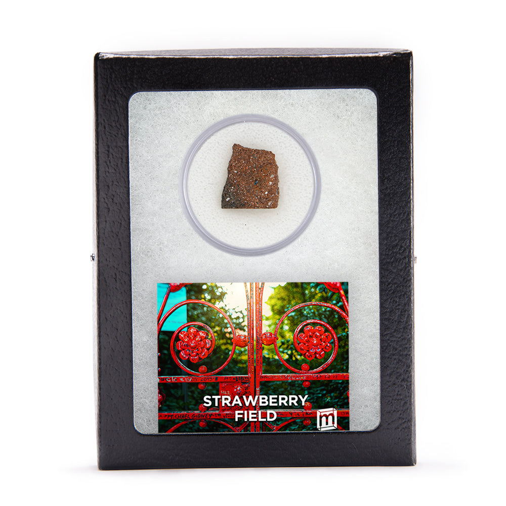 Beatles Brick Fragment - Strawberry Field Brick