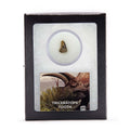 Triceratops Tooth