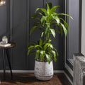 Janamuato White Geometric Cement Outdoor Planter