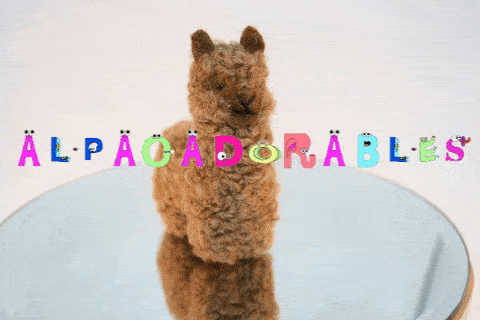 Alpacadorable Hand Made Baby Alpaca Ornaments