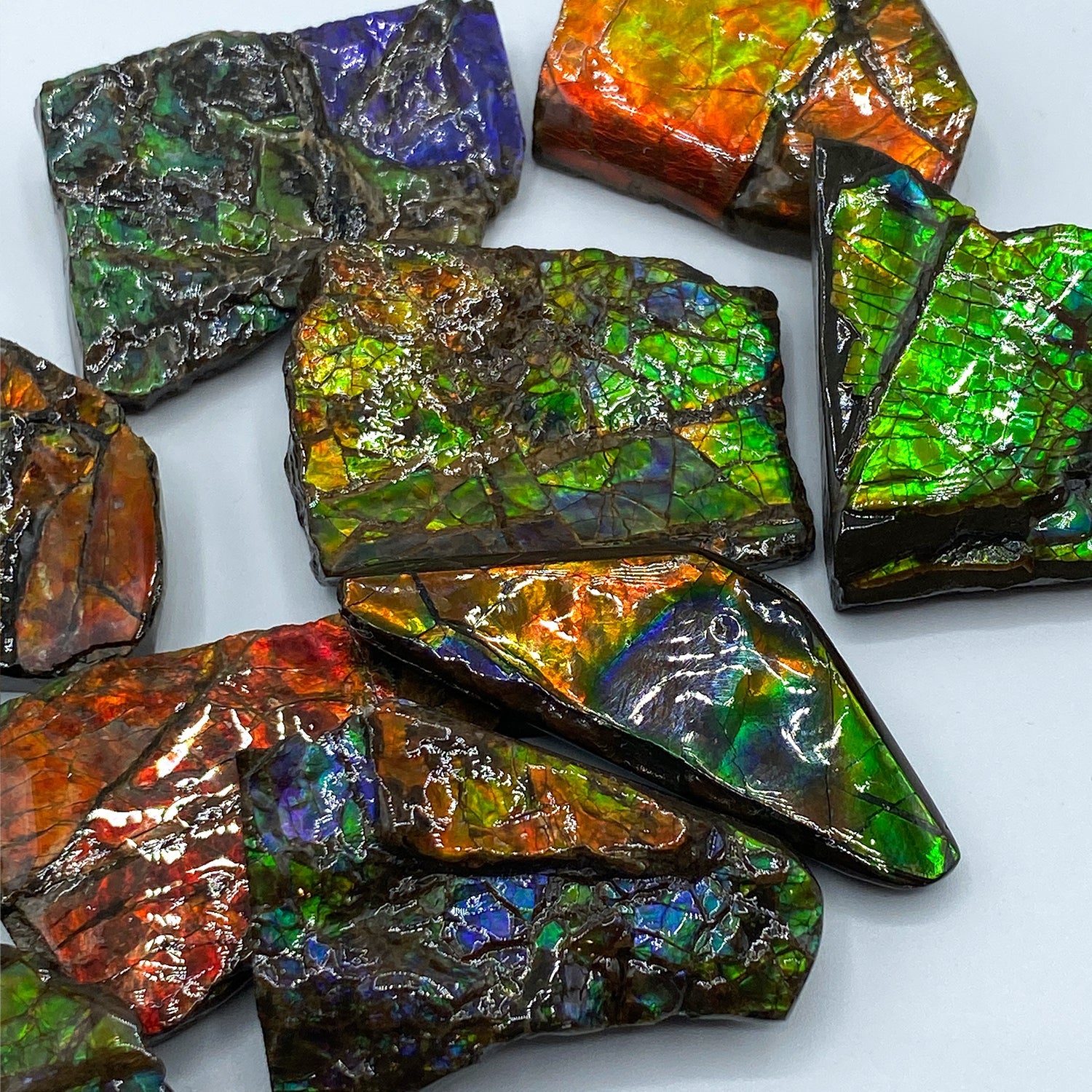 Rainbow Fossil Ammolite - Gem Quality Ammonite Fossil Fragment