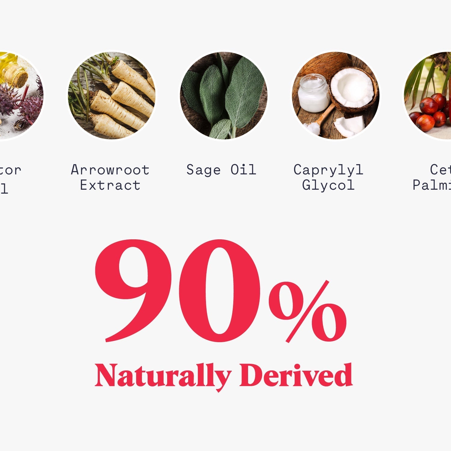 Antiperspirant Deodorant Stick - PhishStones Products
