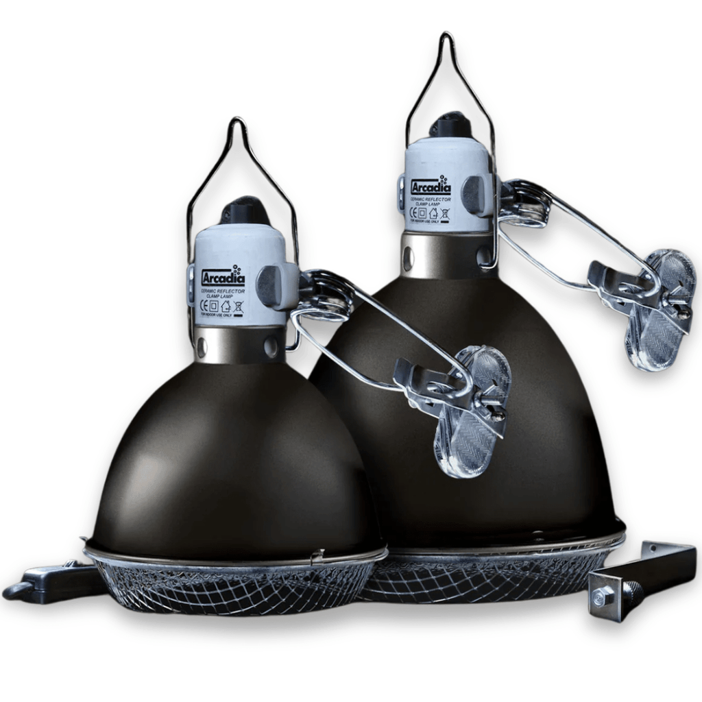 Arcadia Ceramic Reflector Clamp Lamp, Graphite - PhishStones Products