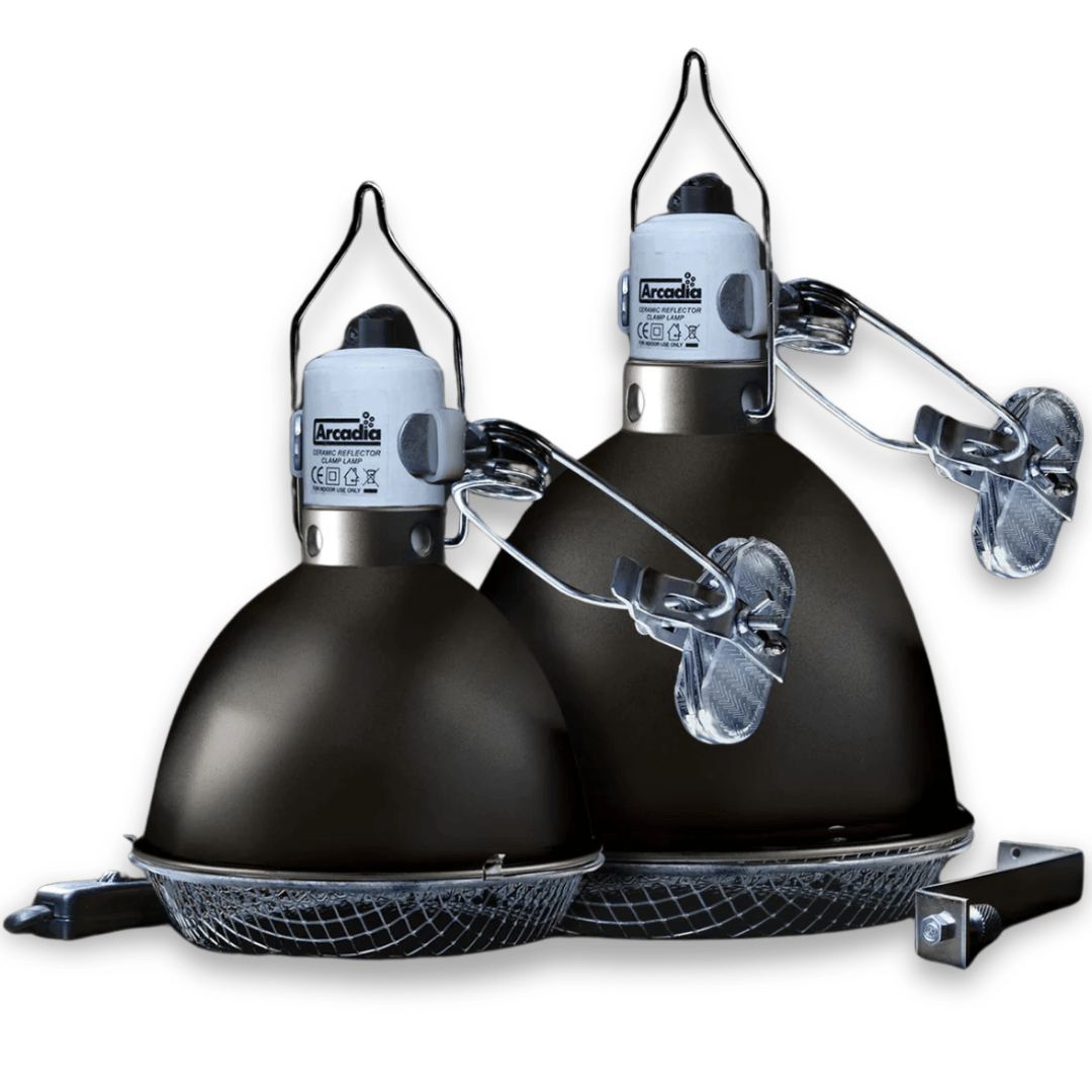 Arcadia Ceramic Reflector Clamp Lamp, Graphite - PhishStones Products