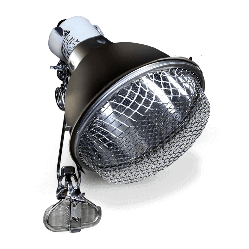 Arcadia Ceramic Reflector Clamp Lamp, Graphite - PhishStones Products