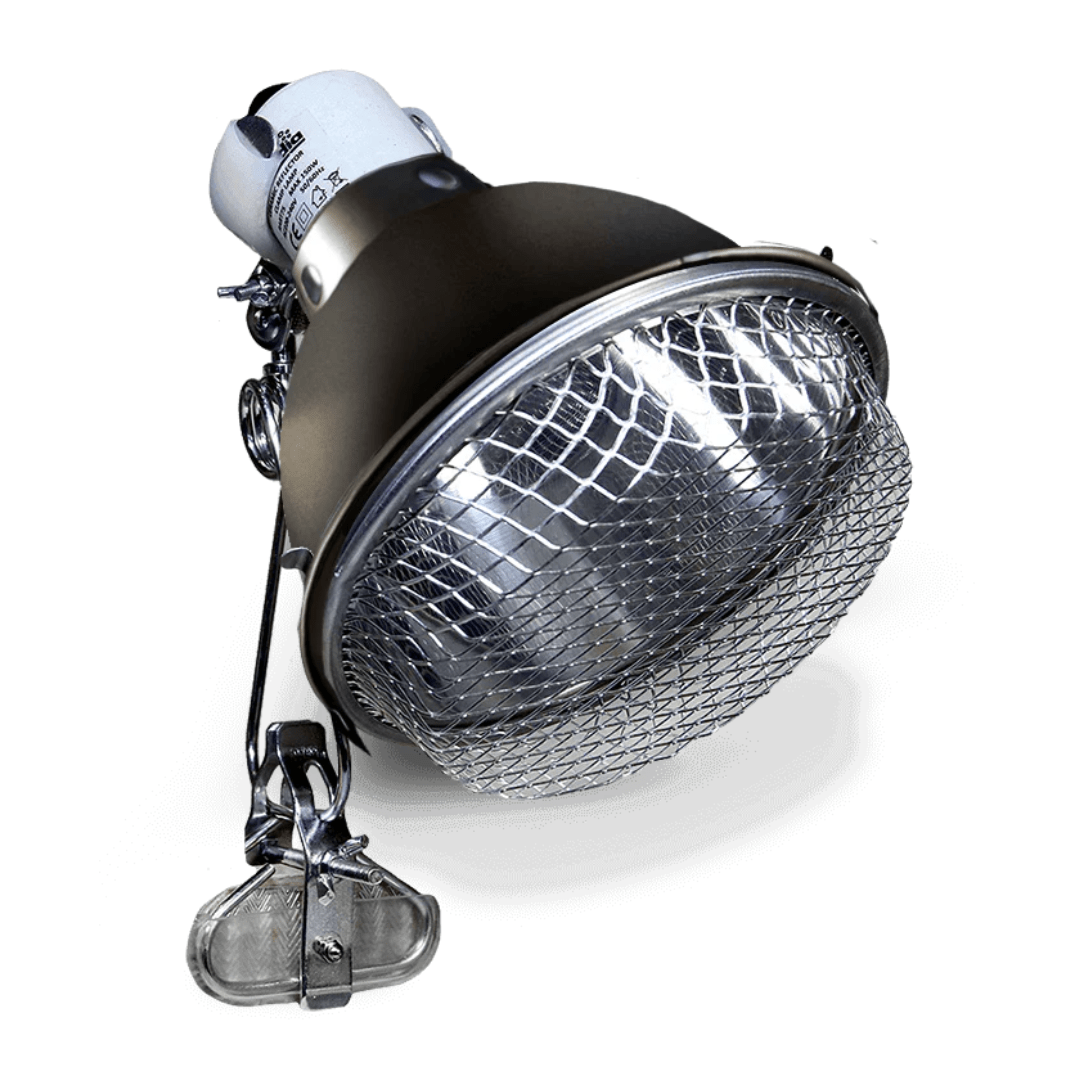 Arcadia Ceramic Reflector Clamp Lamp, Graphite - PhishStones Products