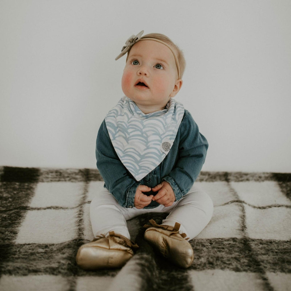 Arctic Bandana Bib Set (8 pack) - PhishStones Products