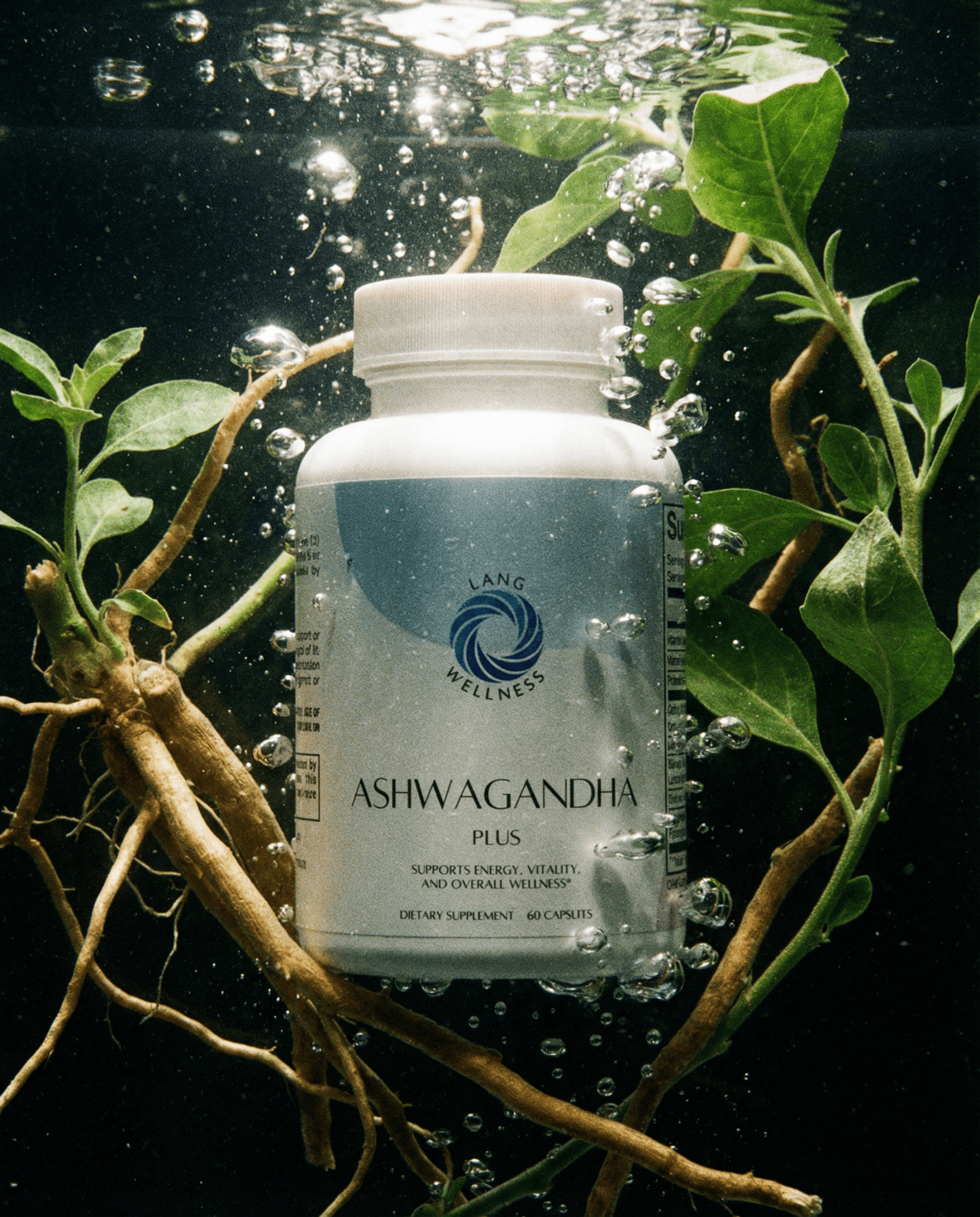 Ashwagandha Plus - PhishStones Products