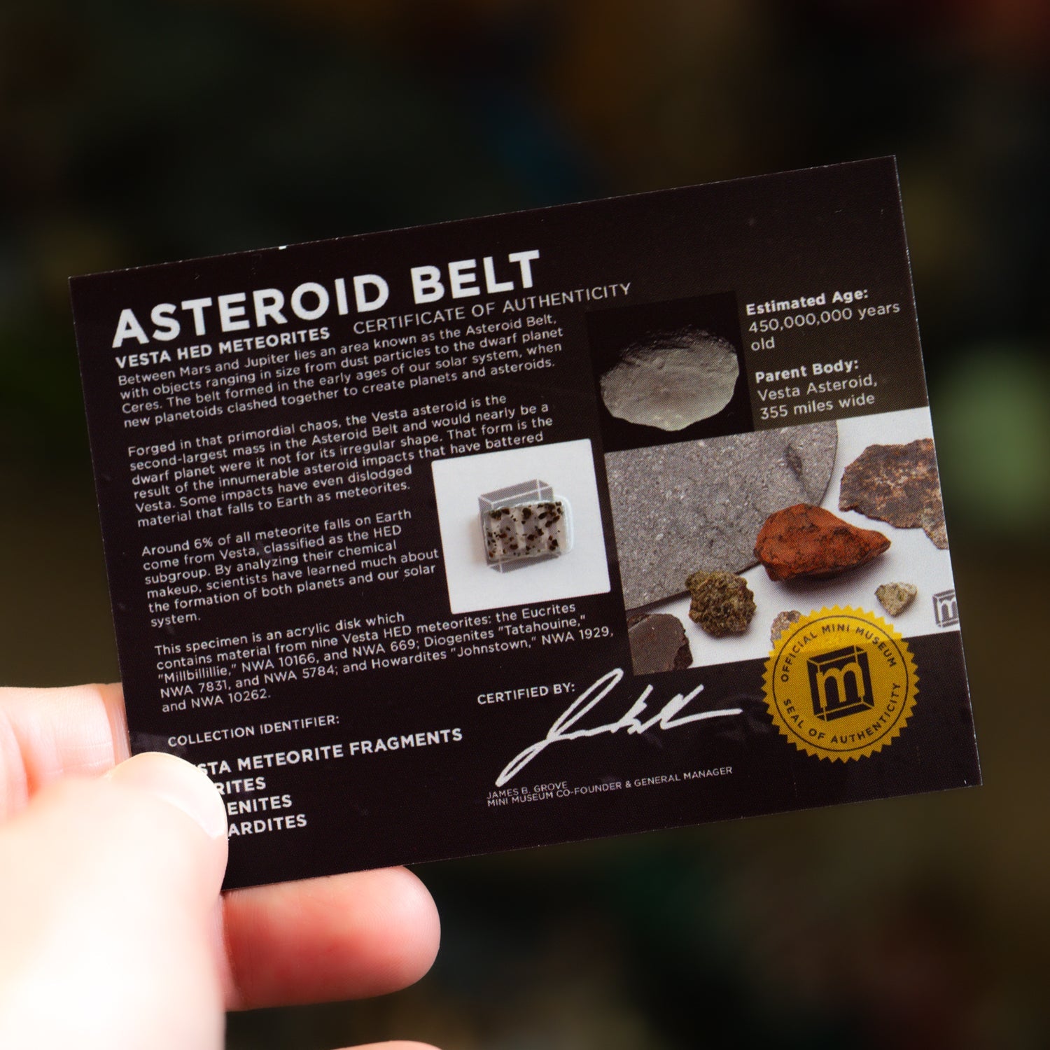 Asteroid Belt HED Meteorite Fragments - Display Card
