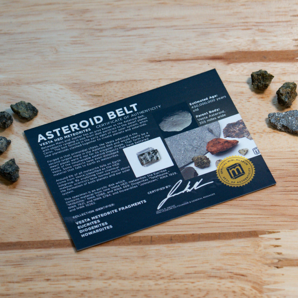 Asteroid Belt HED Meteorite Fragments - Display Card