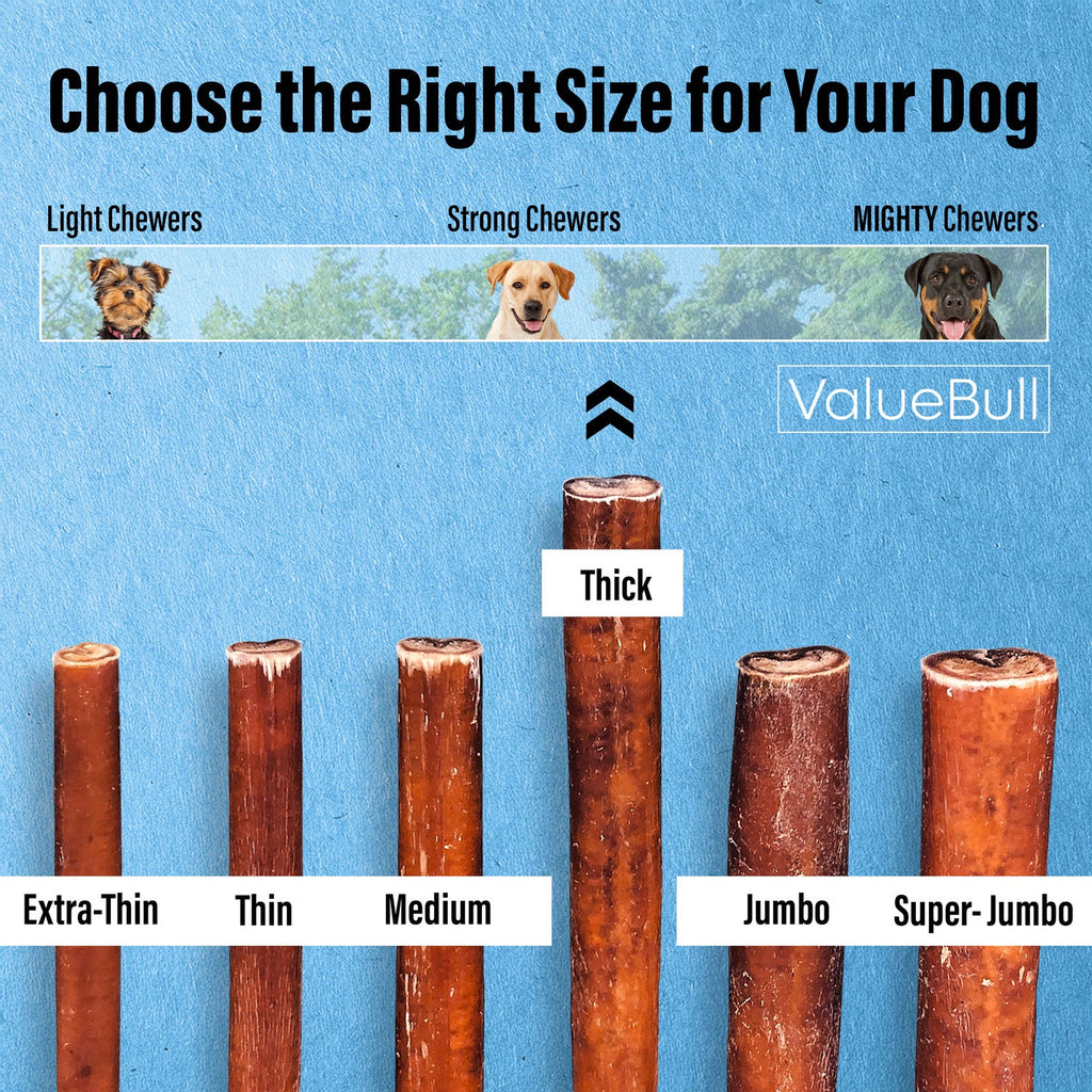ValueBull Bully Sticks for Large Dogs, Thick 6 Inch, 50 Count