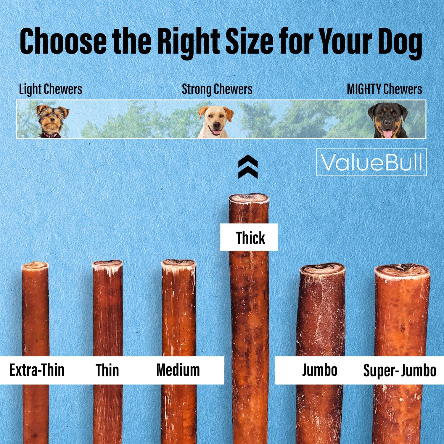 ValueBull Bully Sticks for Large Dogs, Thick 6 Inch, 50 Count