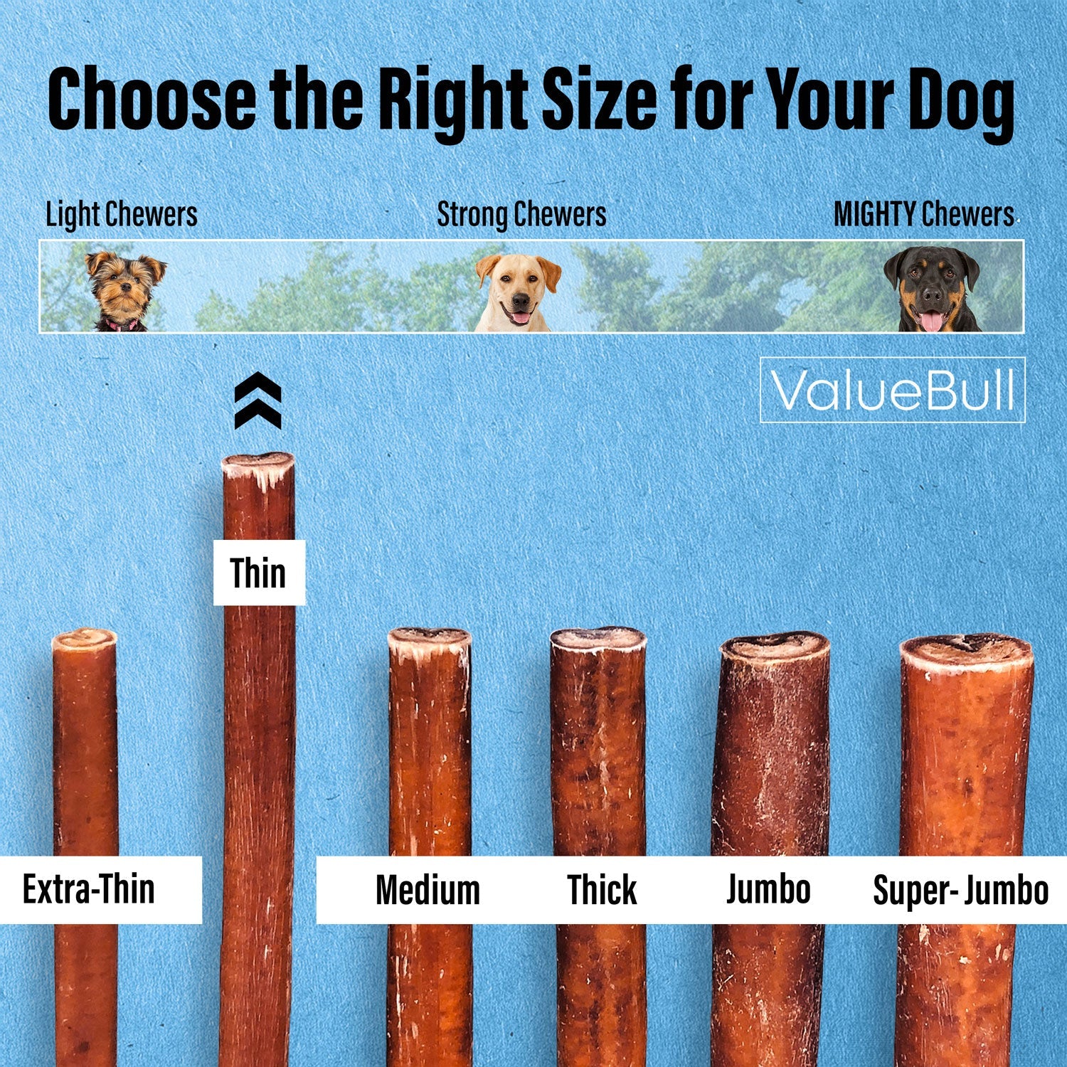 ValueBull Bully Sticks for Small Dogs, Thin 6 Inch, 50 Count